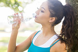 Active calm brunette drinking from a water bottle