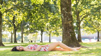 Stylish pretty brunette lying on a lawn