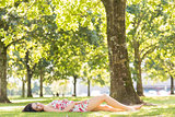 Stylish attractive brunette lying on a lawn