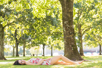 Stylish attractive brunette lying on a lawn