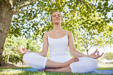 Front view of beautiful young woman sitting in a park meditating