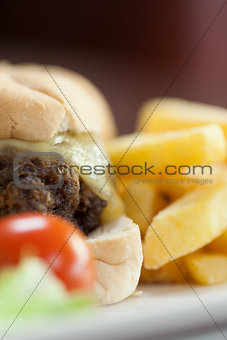 Close up of cheesy burger with french fries