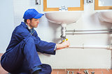 Attractive concentrating plumber repairing sink
