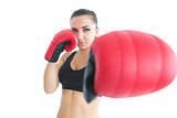 Sporty young woman posing wearing boxing gloves