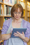 Female librarian using concentrated her tablet