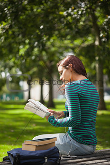 Calm casual student sitting on bench reading