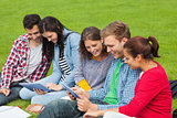 Five students sitting on the grass using tablet