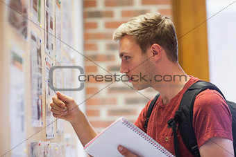 Handsome student studying notice board