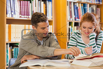 Two smiling students studying together