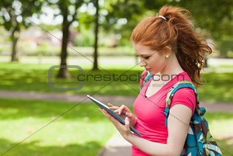 Gorgeous happy student using tablet