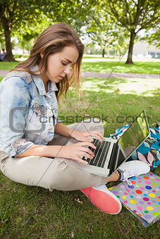 Pretty focused student sitting on grass using laptop