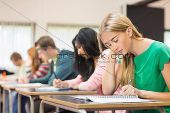 Young students writing notes in classroom