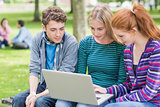 College students using laptop in park