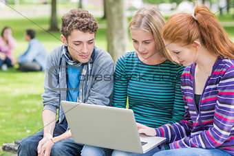 College students using laptop in park
