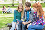 College students using tablet PC in park
