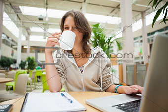 Student drinking coffee while using laptop at cafeteria table