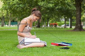 Female student doing homework at the park