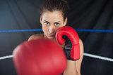 Beautiful woman in red boxing gloves in the ring