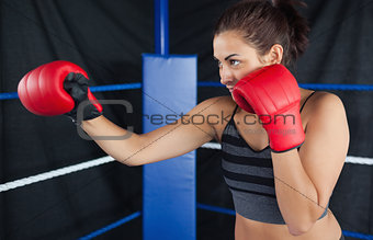 Determined female boxer practicing