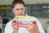 Male researcher  looking at test tubes in the lab