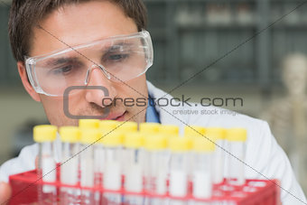 Male researcher  looking at test tubes in the lab