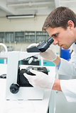 Scientific researcher using microscope in the laboratory