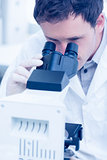 Scientific researcher using microscope in the laboratory