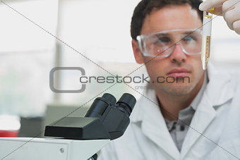 Scientific researcher looking at test tube while using microscope in lab