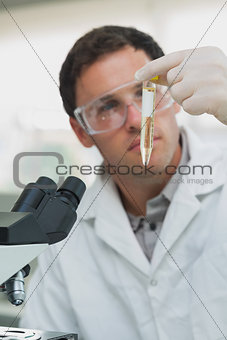 SScientific researcher looking at test tube while using microscope in lab