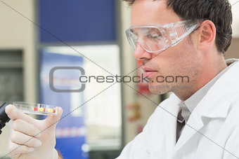 Male scientist analyzing pills in lab