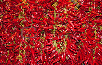 red chillies