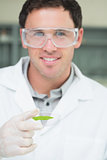 Scientist analyzing a leaf at the lab