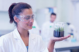 Female scientist analyzing a young plant at lab