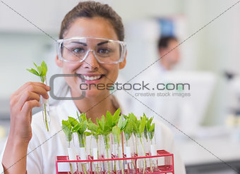 Smiling female scientist analyzing young plants at lab