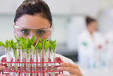 Female scientist with young plants at lab