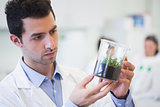 Young male researcher looking at young plant at lab