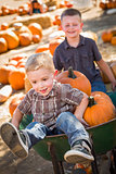 Two Little Boys Playing in Wheelbarrow at the Pumpkin Patch 