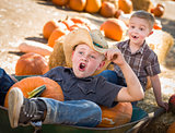 Two Little Boys Playing in Wheelbarrow at the Pumpkin Patch 