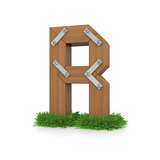 Wooden letter R in the grass