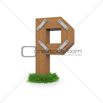 Wooden letter P in the grass