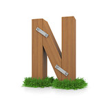 Wooden letter N in the grass