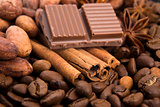 chocolate with coffee beans, spices and cacao
