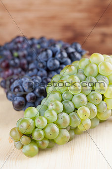 Blue and green grape clusters