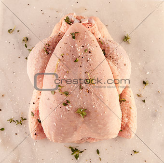 Raw whole chicken or small turkey on a granite work surface