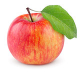 Red yellow apple with leaf