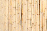 Wooden wall of bamboo close-up