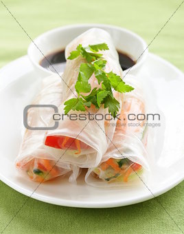 spring rolls with vegetables and chicken