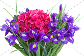 fresh hortensia and iris flowers close up