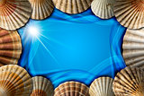 Seashells on Sea Abstract Background