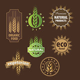 collection of vector floral eco sign